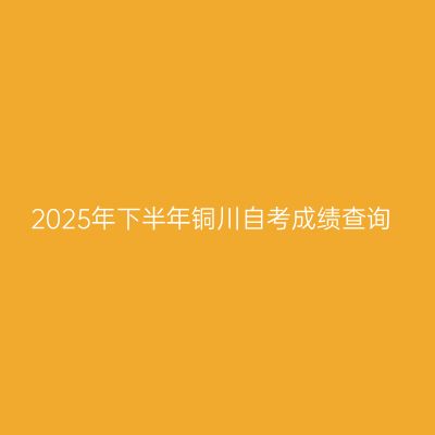 2025年下半年铜川自考成绩查询