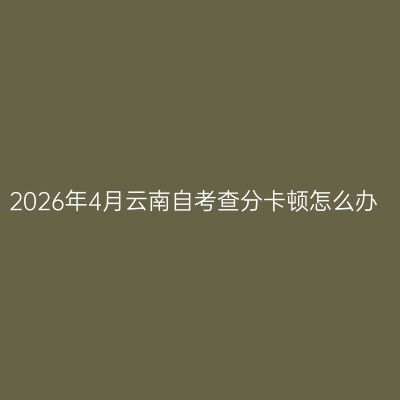 2026年4月云南自考查分卡顿怎么办