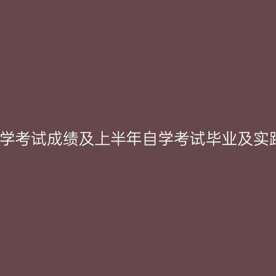 2026年4月山东省自学考试成绩及上半年自学考试毕业及实践环节考核成绩发布