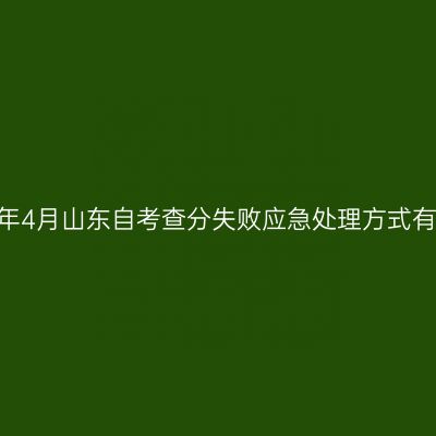 2026年4月山东自考查分失败应急处理方式有哪些