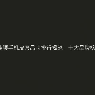 2026年挂腰手机皮套品牌排行揭晓：十大品牌榜单盘点！