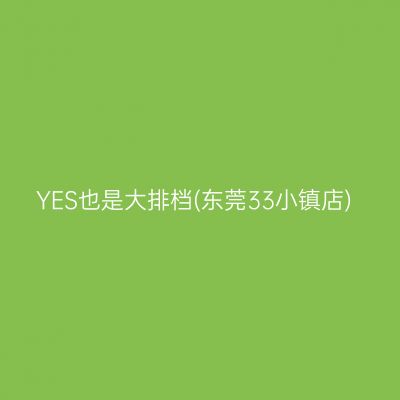YES也是大排档(东莞33小镇店)