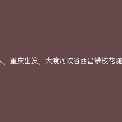 一家人，重庆出发，大渡河峡谷西昌攀枝花随意行