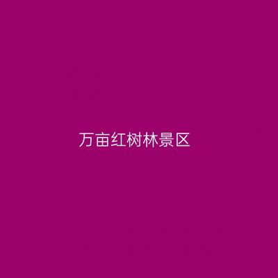 万亩红树林景区