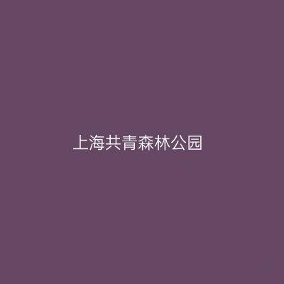 上海共青森林公园