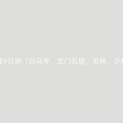 上海出发，开封洛阳登封自驾9日游（白马寺、龙门石窟、关林、少林寺、嵩山书院、嵩岳寺塔）