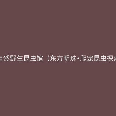 上海大自然野生昆虫馆（东方明珠•爬宠昆虫探索中心）