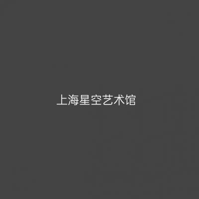 上海星空艺术馆