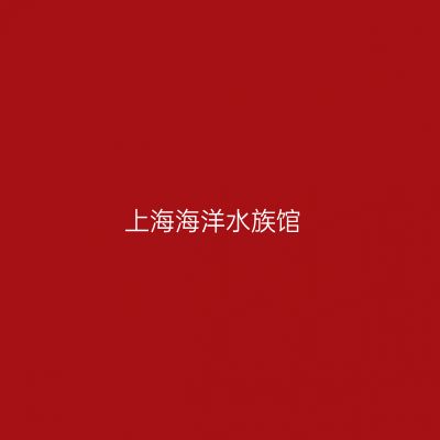 上海海洋水族馆