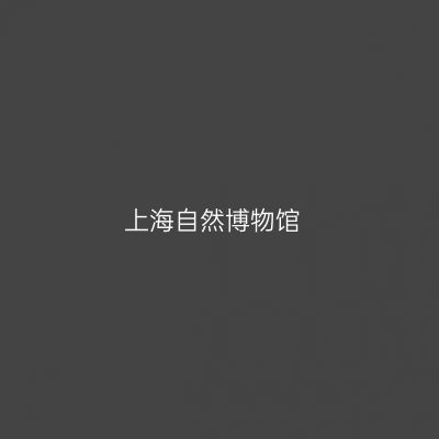 上海自然博物馆