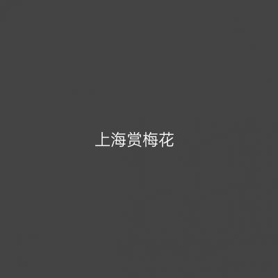 上海赏梅花