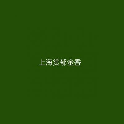上海赏郁金香