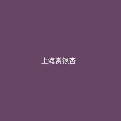 上海赏银杏