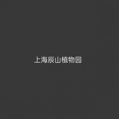 上海辰山植物园