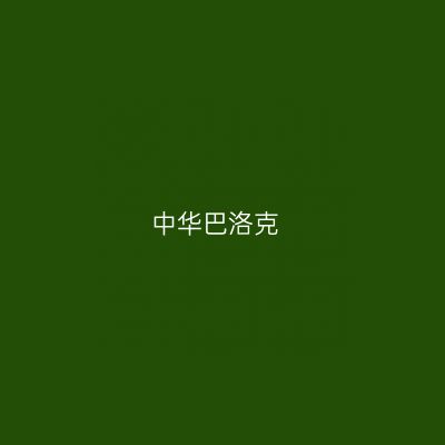 中华巴洛克