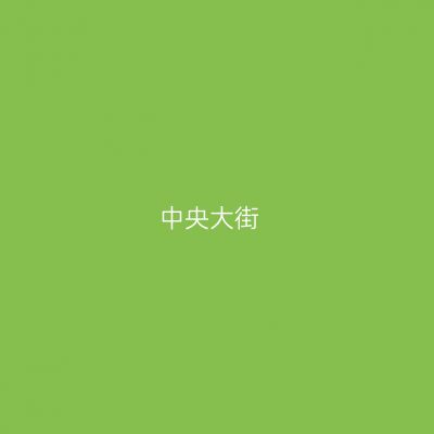 中央大街