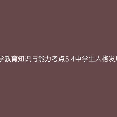 中学教育知识与能力考点5.4中学生人格发展