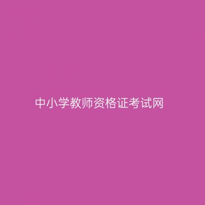 中小学教师资格证考试网