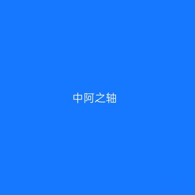 中阿之轴
