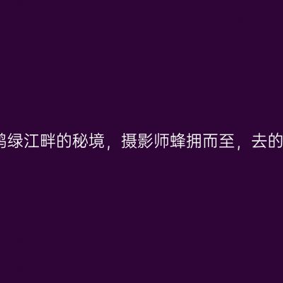 丹东绿江村是鸭绿江畔的秘境，摄影师蜂拥而至，去的路上就美翻了