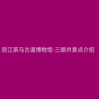 丽江茶马古道博物馆-三眼井景点介绍