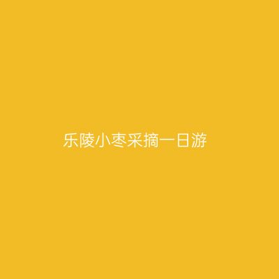 乐陵小枣采摘一日游