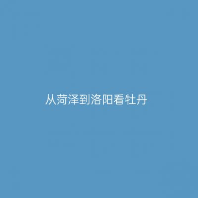 从菏泽到洛阳看牡丹