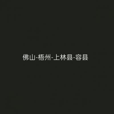 佛山-梧州-上林县-容县