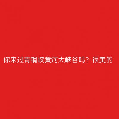 你来过青铜峡黄河大峡谷吗？很美的