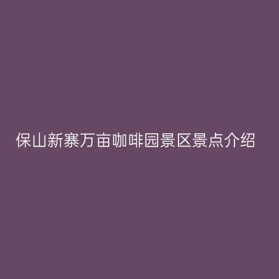 保山新寨万亩咖啡园景区景点介绍