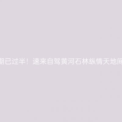 假期已过半！速来自驾黄河石林纵情天地间~
