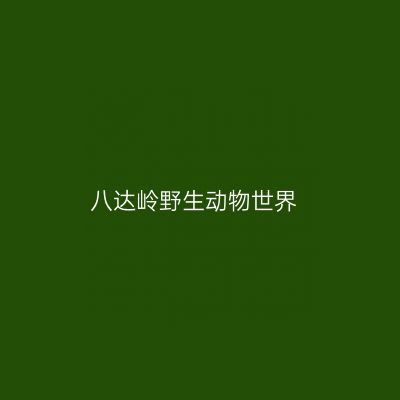 八达岭野生动物世界