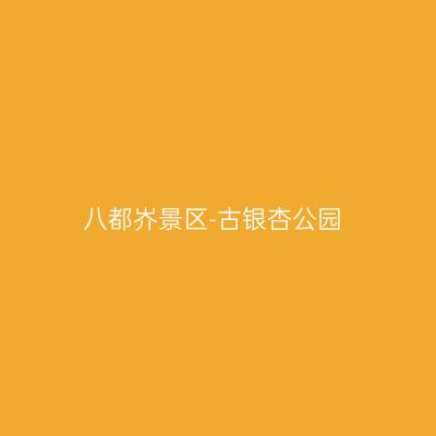 八都岕景区-古银杏公园