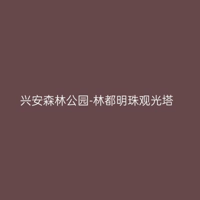 兴安森林公园-林都明珠观光塔