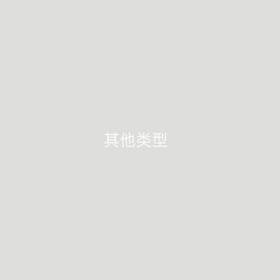 其他类型