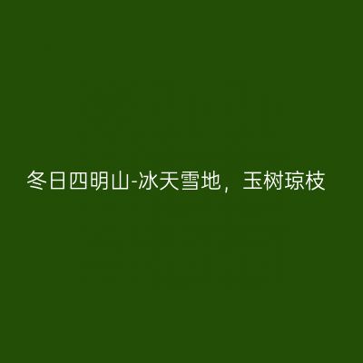 冬日四明山-冰天雪地，玉树琼枝