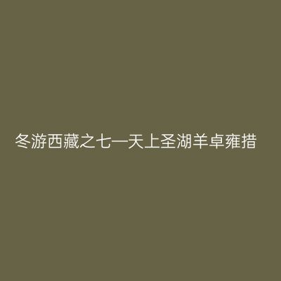 冬游西藏之七—天上圣湖羊卓雍措