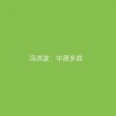 冯洪波：中原乡戏