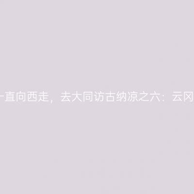出京一直向西走，去大同访古纳凉之六：云冈石窟