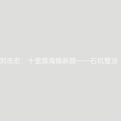 刘志宏：十里煤海焕新颜——石坑整治