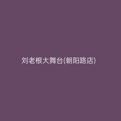 刘老根大舞台(朝阳路店)