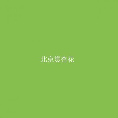 北京赏杏花