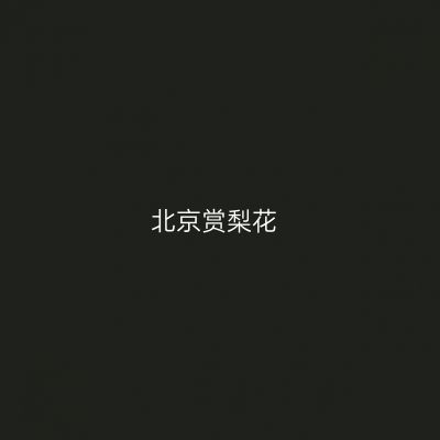 北京赏梨花