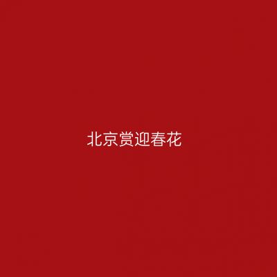 北京赏迎春花
