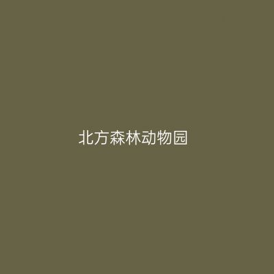北方森林动物园