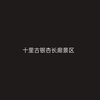 十里古银杏长廊景区