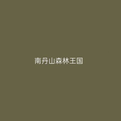 南丹山森林王国