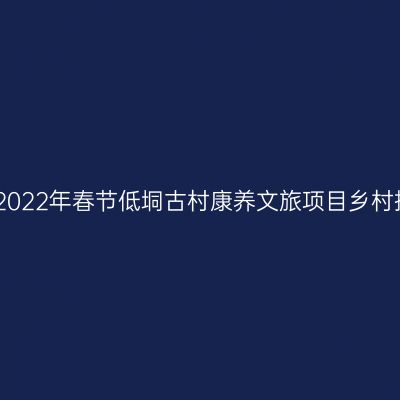 博白大垌镇2022年春节低垌古村康养文旅项目乡村振兴座谈会