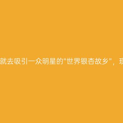 去不了腾冲，就去吸引一众明星的“世界银杏故乡”，现实版小森林