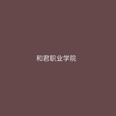 和君职业学院